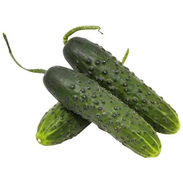 Castraveti Moldova, kg - image 1