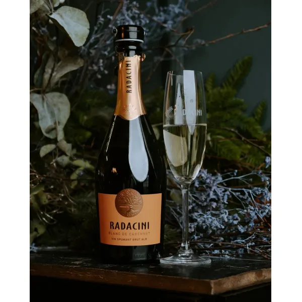 Вино игристое Radacini Blanc de Cabernet Брют Белый 0,75 л - image 2