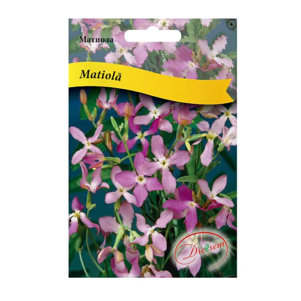 Seminte Matiola Maxi 5gr - image 1