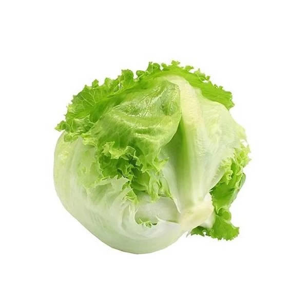 Salata Iceberg, kg - image 2