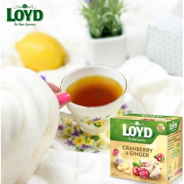 Ceai Loyd Tea merisoare si ghimbir 20 pak - image 2