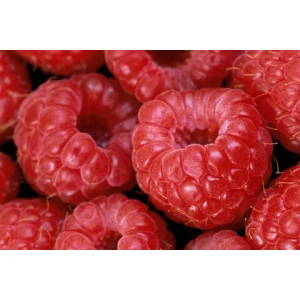BerryMania Pastilata zmeura, gutui si mar 90gr - image 3
