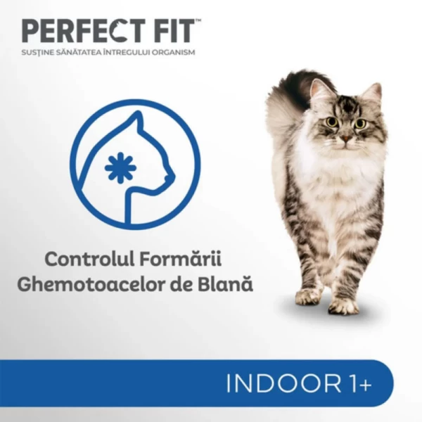 Perfect Fit hrana umeda Indoor Pui & Mazare Plic 85g - image 2