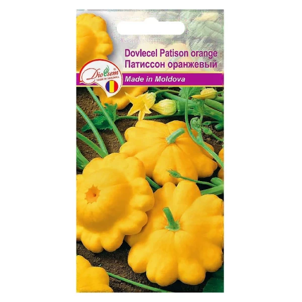 Seminte Dovlecel Patison Orange 1gr - image 1
