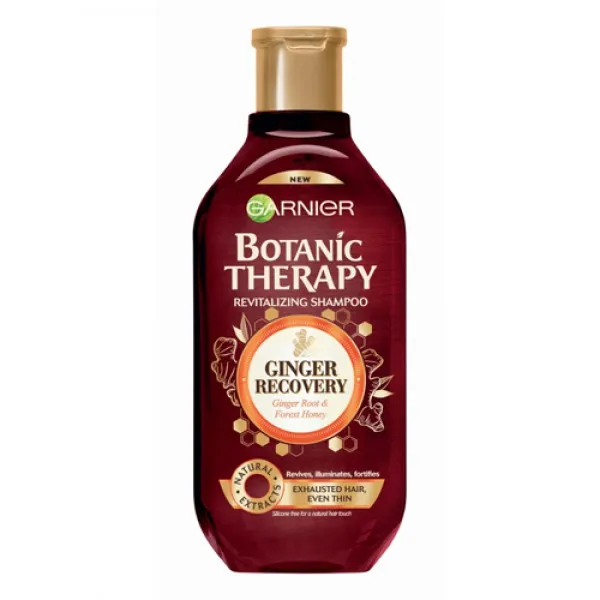 Garnier Botanic Шампунь 250мл Имбирь - image 1