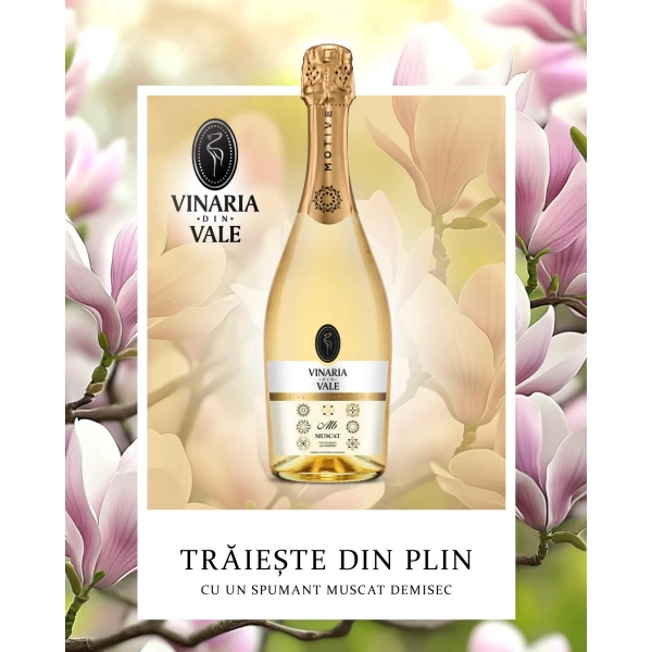 Vinaria din Vale Vin spumant demisec alb Muscat 0,75l - image 3