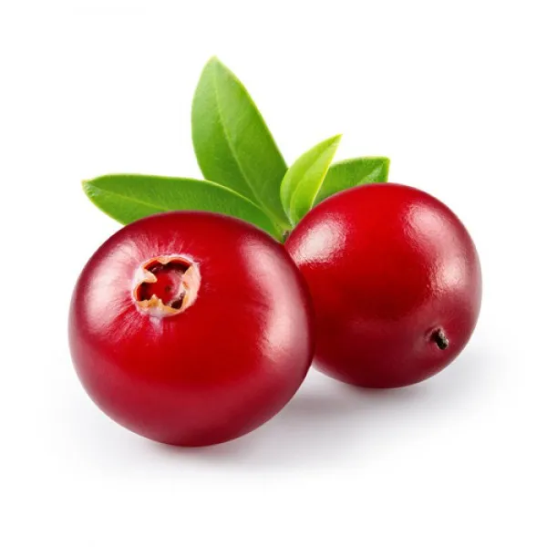 Rachitele uscate Everyday 250g - image 2