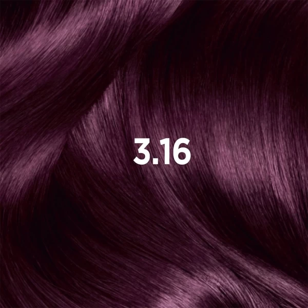 Стойкая краска для волос с аммиаком Garnier Color Sensation 3.16 Deep Amethyst - image 3