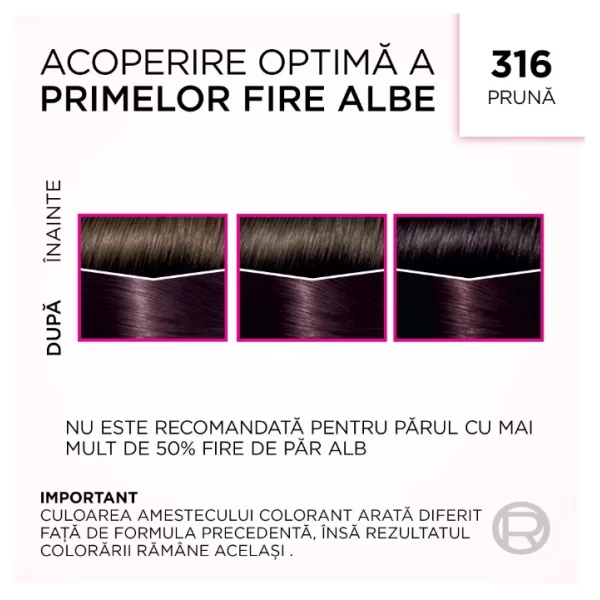 Casting Creme Gloss Краска для волос 316 Слива - image 6