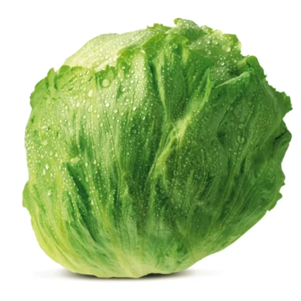 Salata Iceberg, kg - image 1