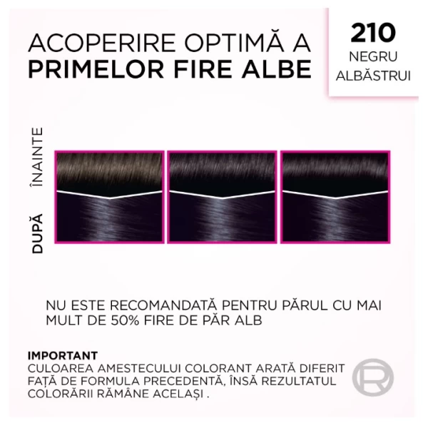 Casting Creme Gloss Vopsea de par 210 Negru Albastrui - image 6