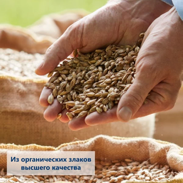 HiPP Каша Organic 7 злаков безмолочная из хлопьев с бананом 10м+ 200 гр - image 2