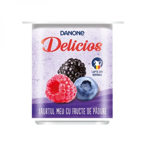 Danone Delicios Iaurt cu fructe de padure 125 gr - image 1