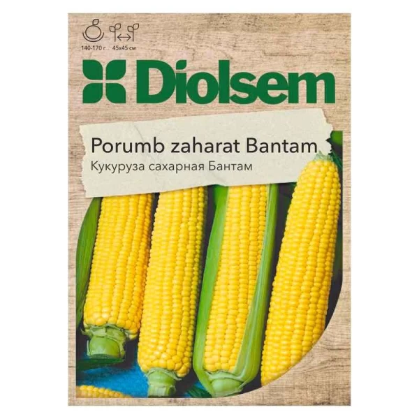 Seminte Porumb zaharat Brusnita Maxi 10gr - image 1