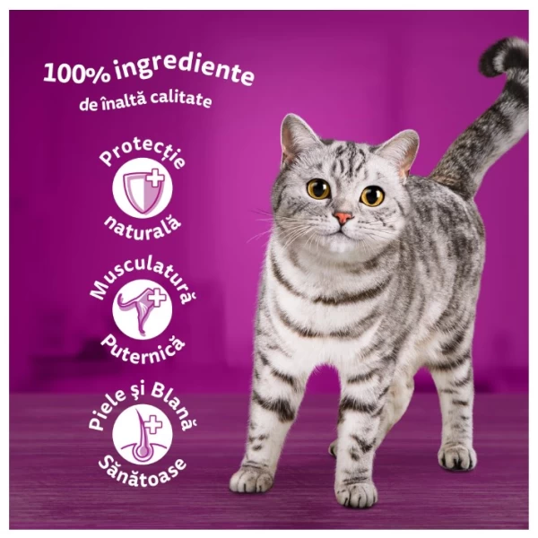 Whiskas Adult Hrana uscata Pisici Somon 1.4 kg - image 2