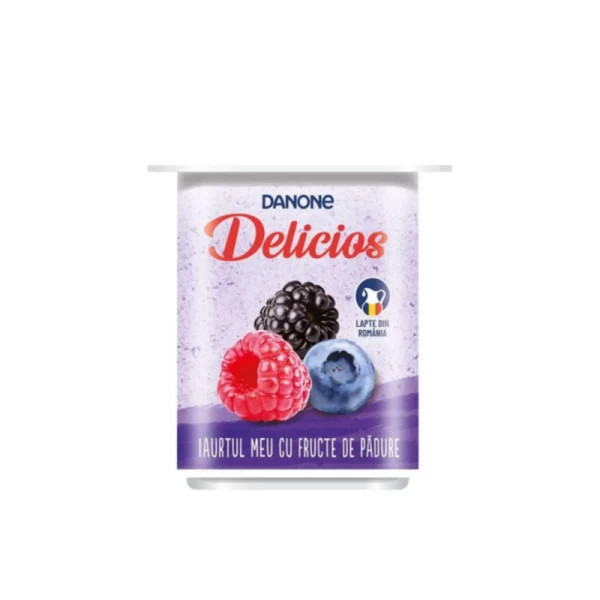 Danone Delicios Iaurt cu fructe de padure 125 gr - image 1