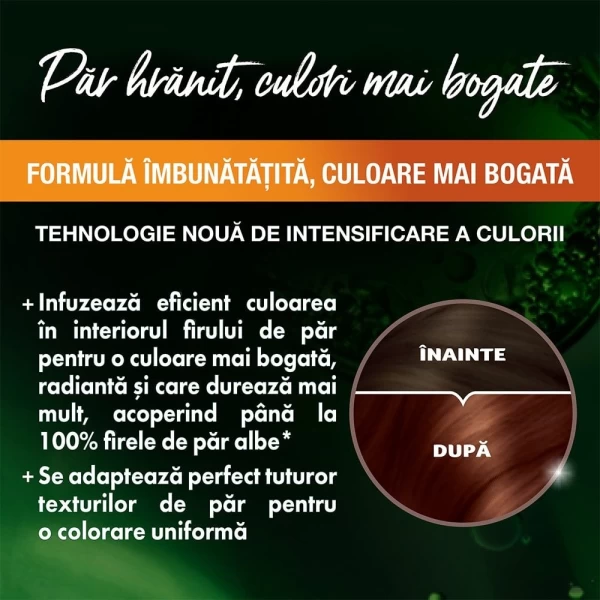 Garnier Color Naturals Vopsea de par 4.5 Saten Mahon - image 4