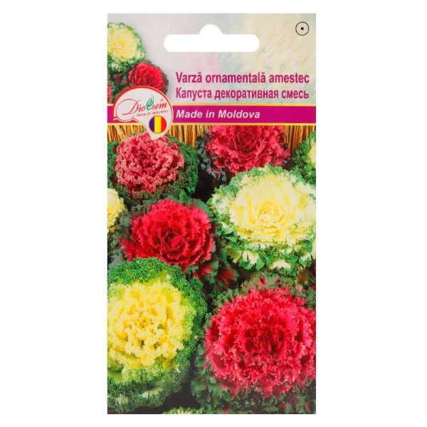 Seminte Varza ornamentala Amestec 1gr - image 1