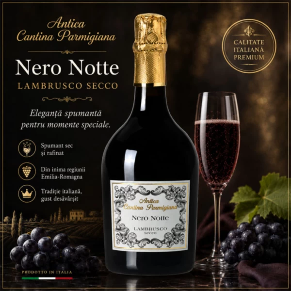 Antica Vin spumant Nero Notte Lambrusco secco 750 ml - image 2