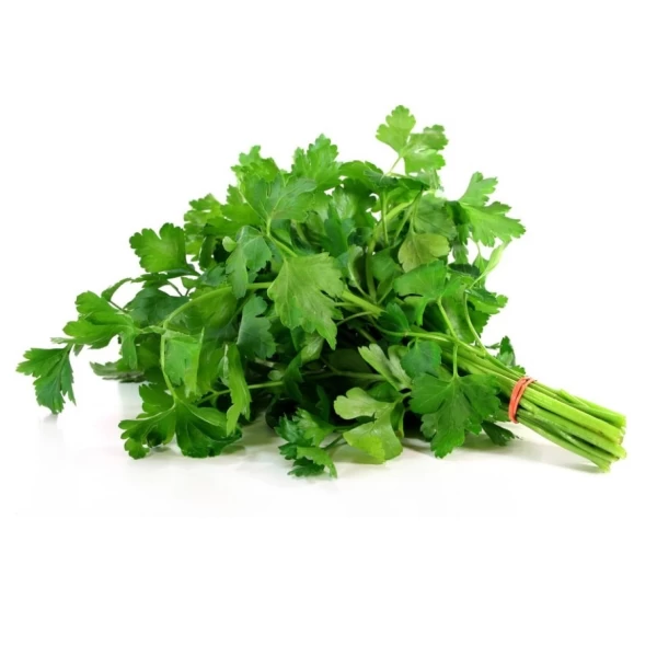 Fresh Петрушка свежая 100 г - image 2