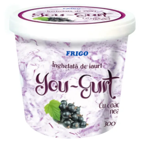 JLC Inghetata de iaurt Coacaza Neagra 300gr - image 1