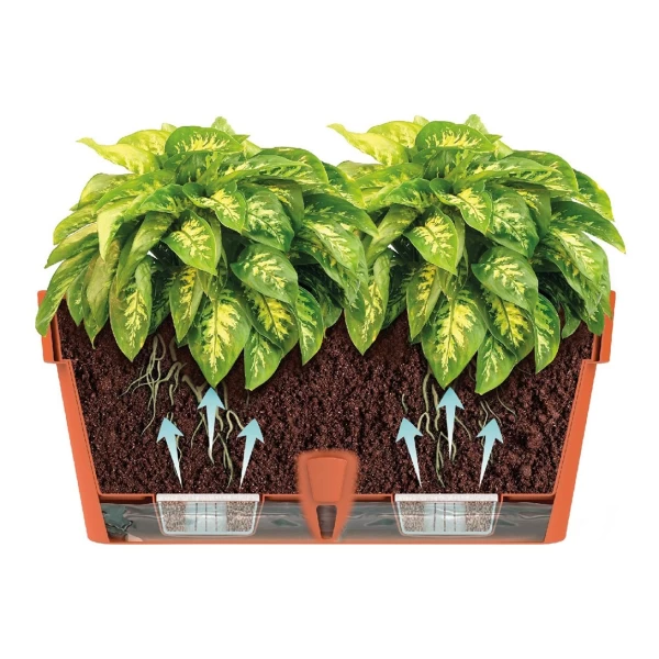 Latina Балконный Ящик 6,7л Шаде - image 2