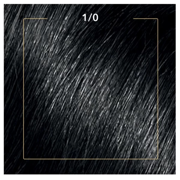 Wella Color Perfect Vopsea Negru Intens 1/0 - image 3