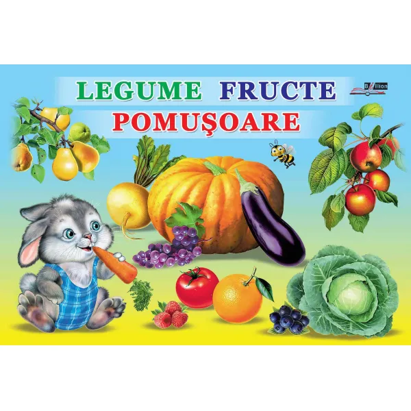 Cartea Carton Legume, Fructe, Pomusoare - image 1
