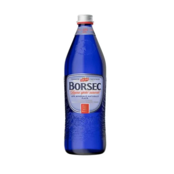 Borsec Blue Apa minerala naturala plata 750 ml - image 1