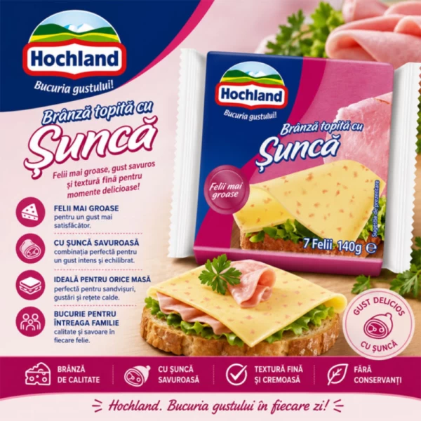 Hochland Плавленый сыр, ветчина ломтики 140г - image 2