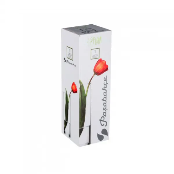 Vaza BOTANICA Cilindru 26,5 cm - image 2