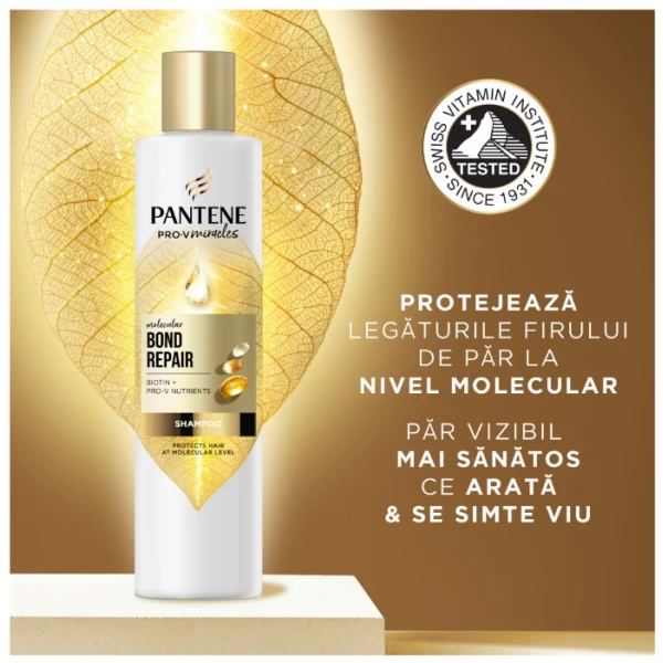 Pantene Sampon Bond Repair 250 ml - image 2