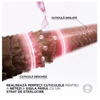 Elseve Sampon 200ml Glycolic Gloss Sulfate Free pentru stralucirea parului - thumbs image 5