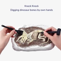 Набор юного археолога Воссоздание Трицератопса - thumbs image 2