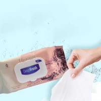 DeepFresh Servetele umede cu capac Istambul 100 buc - thumbs image 2