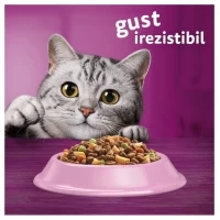 Whiskas Adult Hrana uscata Pisici Somon 1.4 kg - thumbs image 4