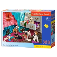 Castorland Пазл 300 элементов - thumbs image 5