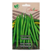 Seminte Fasole Santinela verde creion Maxi 20gr