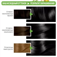 Garnier Color Naturals Vopsea de par 1 Negru - thumbs image 4