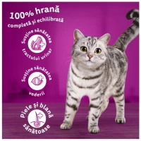 Whiskas ухой корм для взрослых кошек с тунцом 1,4 кг - thumbs image 2