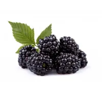 Ежевика VIS быстрозамороженная 300г - thumbs image 3