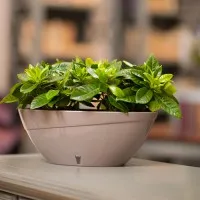 Горшок Calipso 3.3 л Оттенок-белый - thumbs image 3