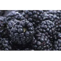 BerryMania Pastilata mure, gutui si mar 90gr - thumbs image 3