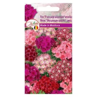 Seminte Frumusete sclipitoare amestec Flox 1gr