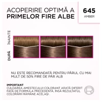 Casting Creme Gloss Vopsea de par 645 Amber - thumbs image 6