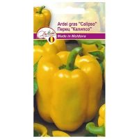 Seminte Ardei gras Calipso 2gr