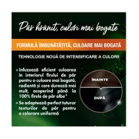 Garnier Color Naturals Vopsea de par 1.10 Negru Rece - thumbs image 3