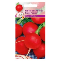 Редис "Сакса" 3г