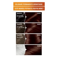 Garnier Color Naturals Vopsea de par 3.23 Saten Ciocolatiu Inchis - thumbs image 3