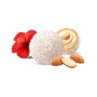 Raffaello Bomboane, 26 praline, 260 g - thumbs image 2